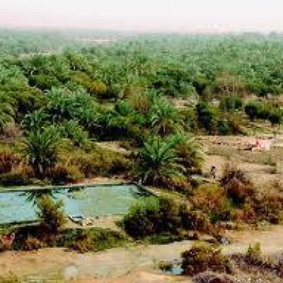 Siwa Oasis Tour by Car