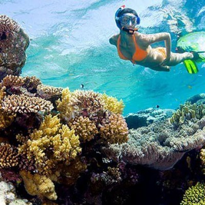 Canyon & Blue Hole Diving