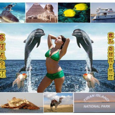 egypt travel