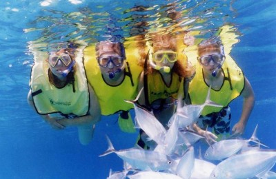 Red Sea and Diving Packages