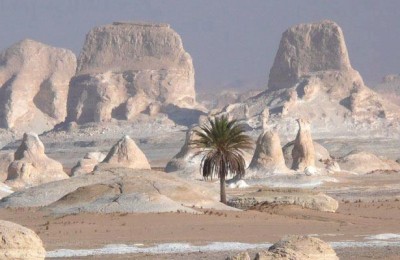 El Bahriya Oasis Black & White Desert