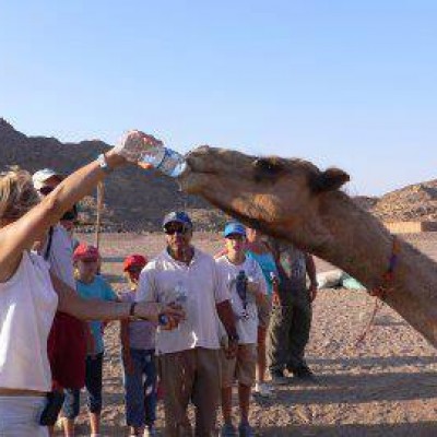 camel ride around desert
